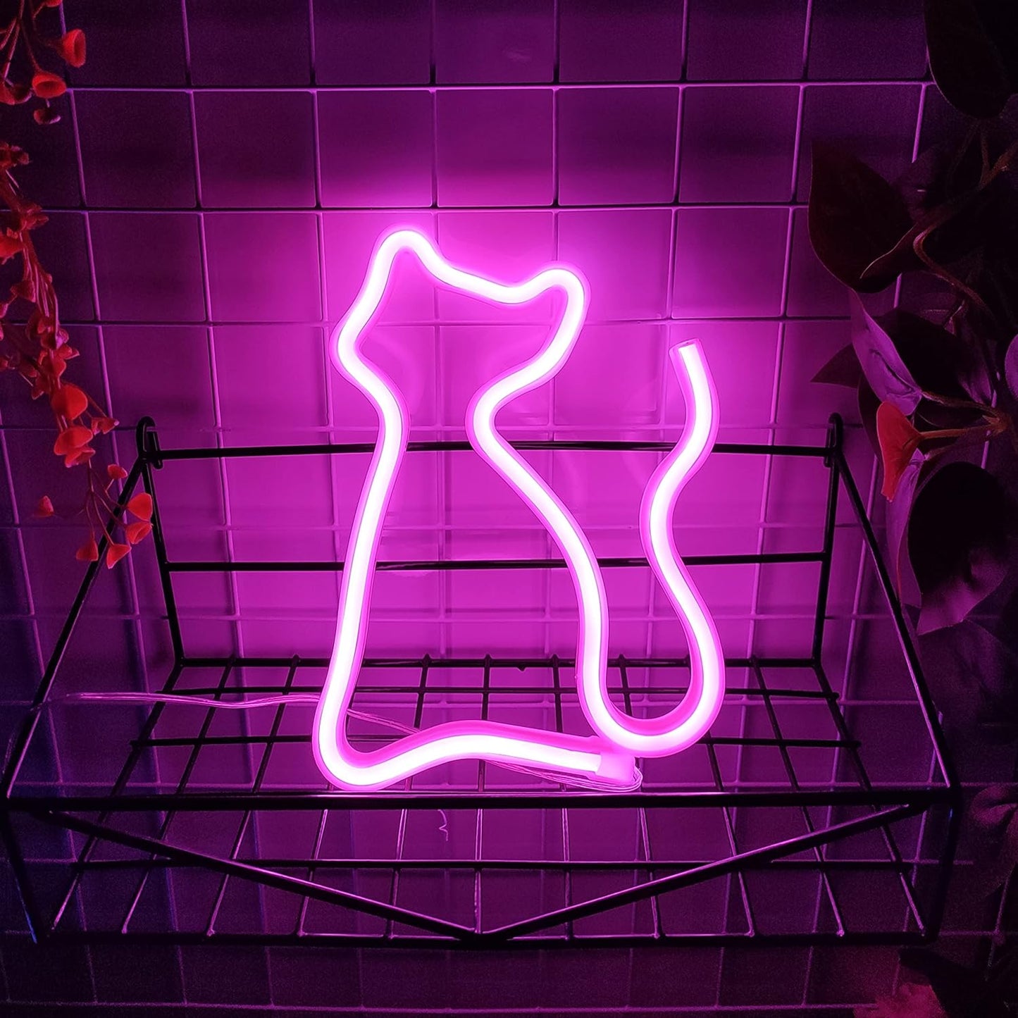 Letrero Neón - Gato